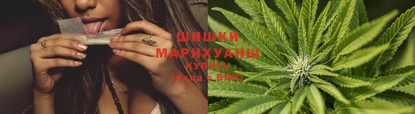 spice Арсеньев