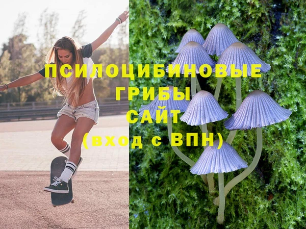 spice Арсеньев