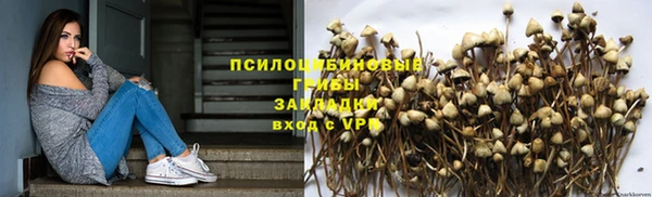 spice Арсеньев