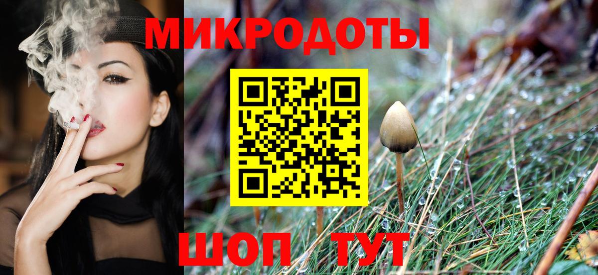 Псилоцибиновые грибы мицелий Петровск