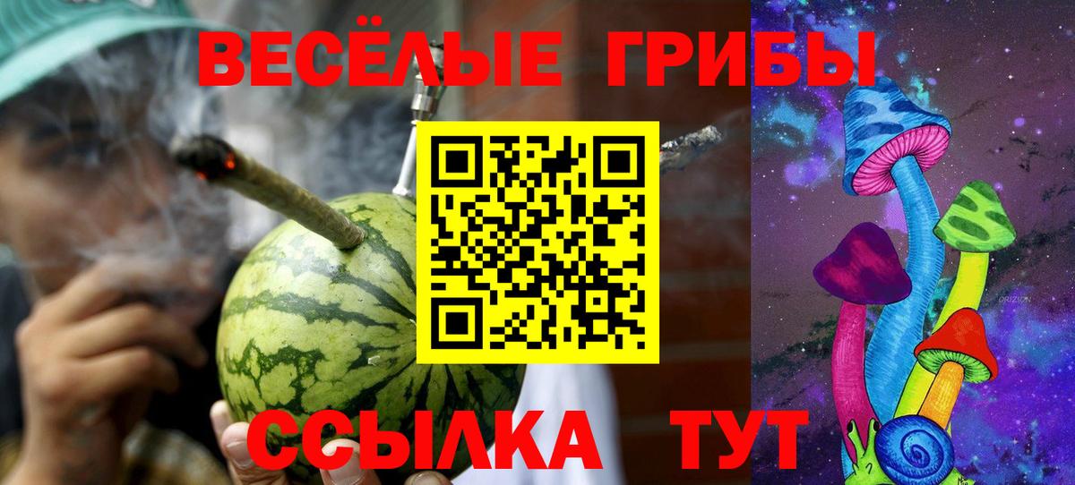 Петровск  Галлюциногенные грибы прущие грибы  Вход с VPN 